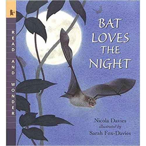 Bat Loves the Night