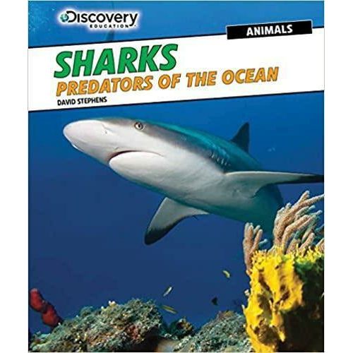 Sharks Predators of the Ocean