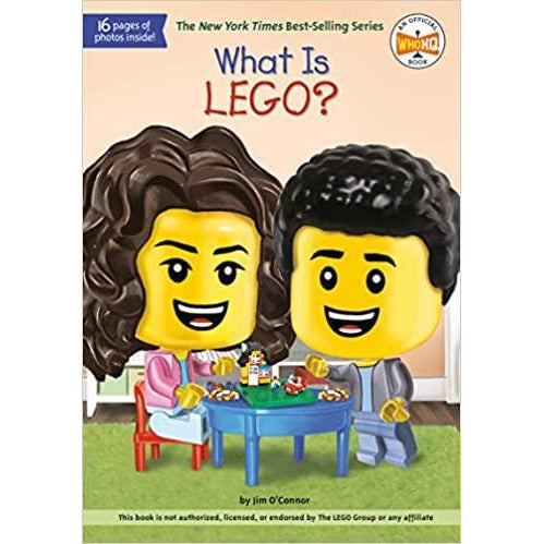 What Is LEGO?
