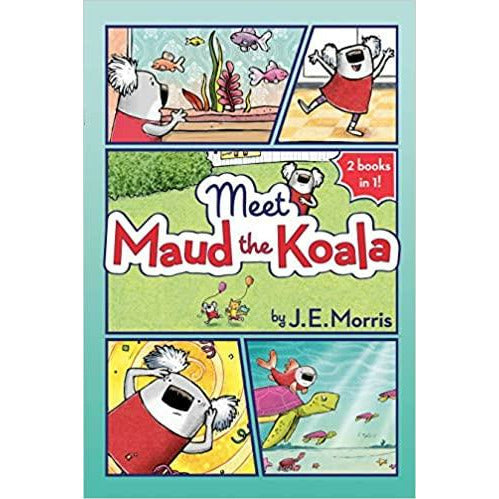 Meet Maud the Koala