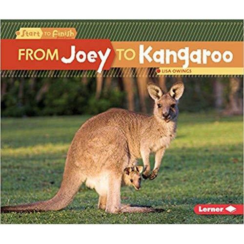 From Joey To Kangaroo