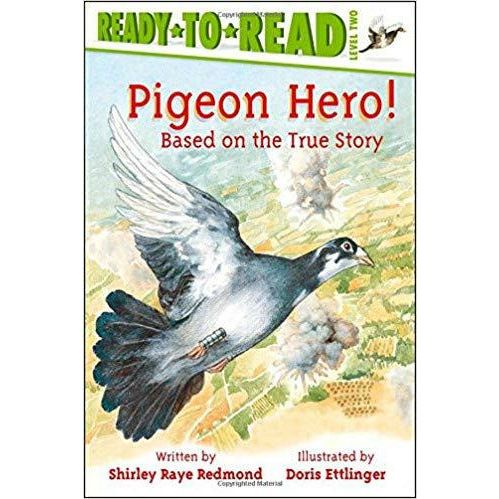 Pigeon Hero!