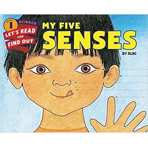 My Five Senses
