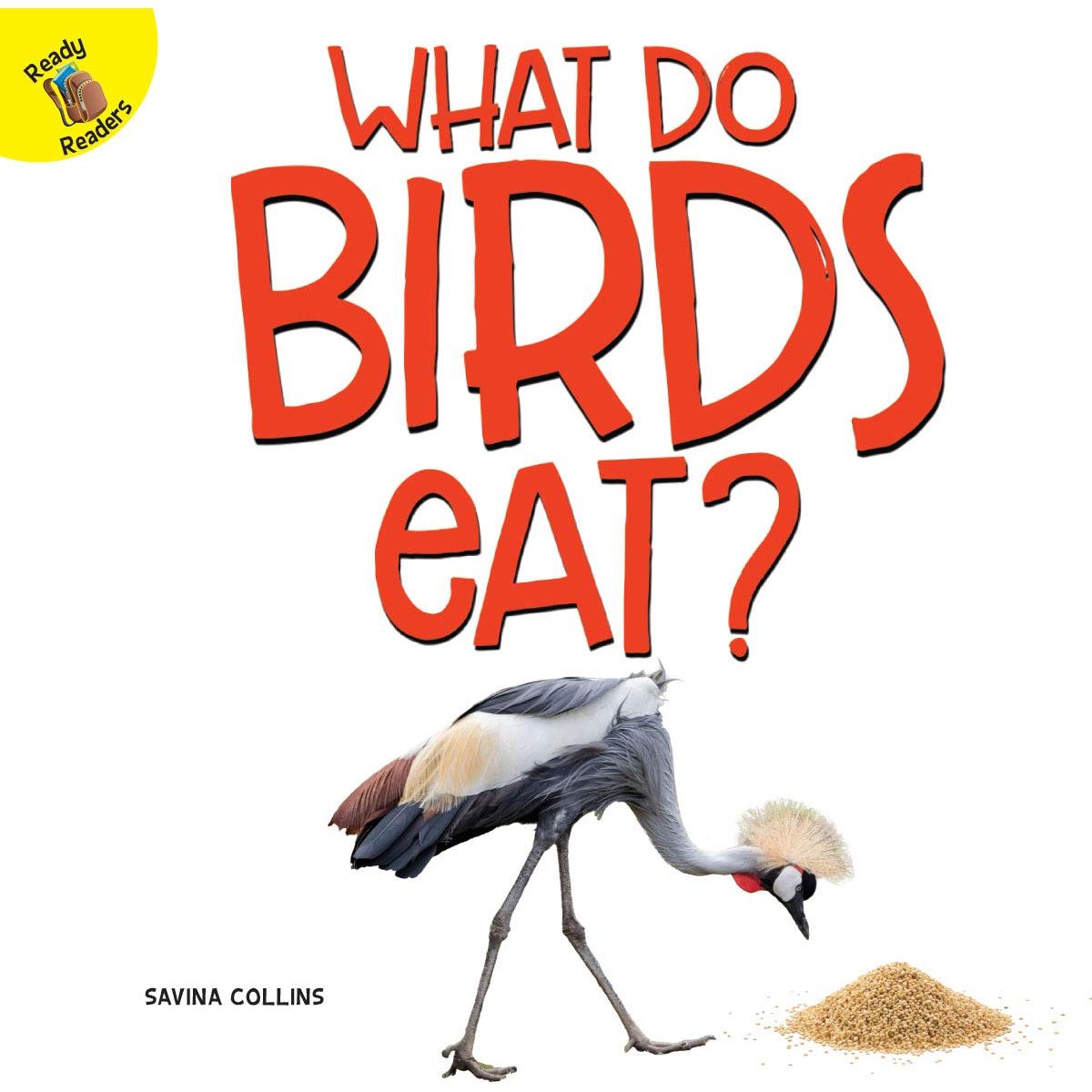 What Do Birds Eat?