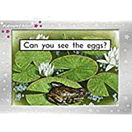 Can You See The Eggs?