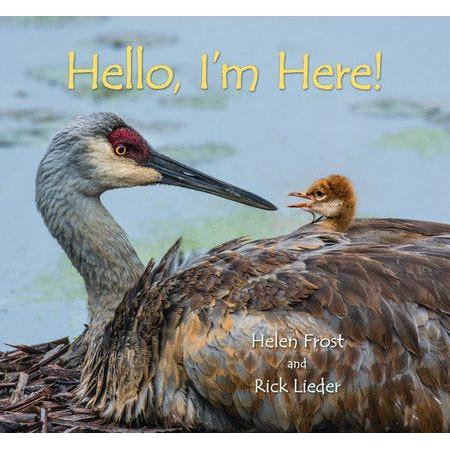 Hello, I'm Here!-Hardcover