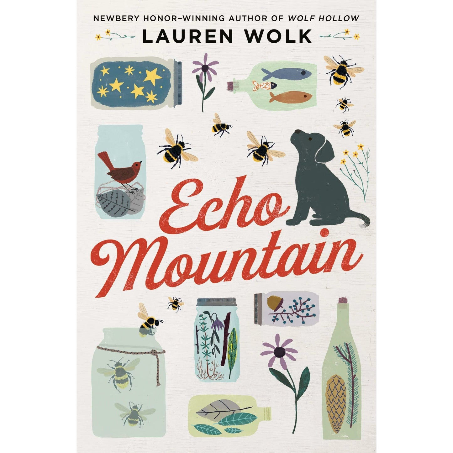 Echo Mountain - Hardcover