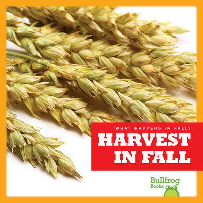 Harvest in Fall ( What Happens in Fall? )