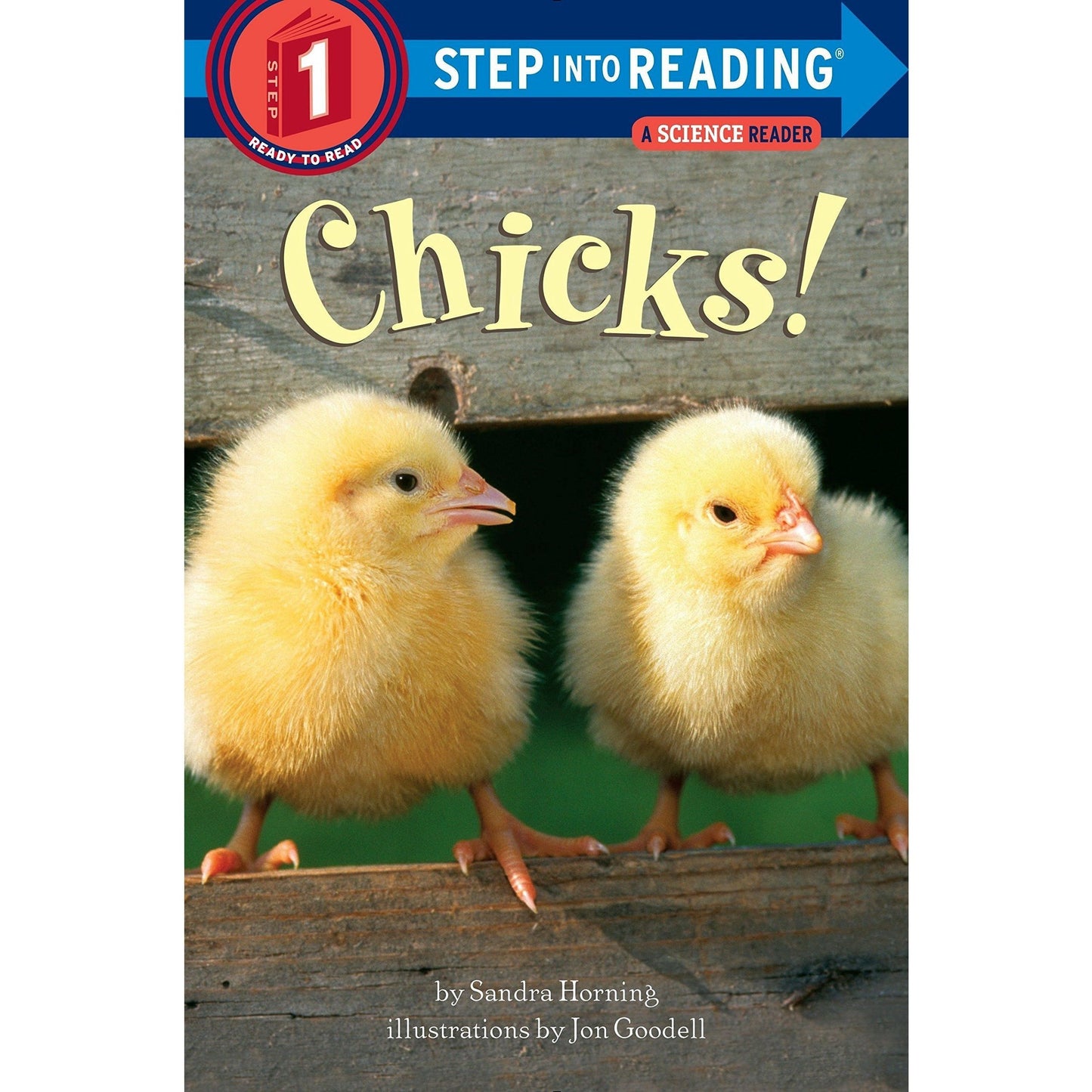 Chicks!
