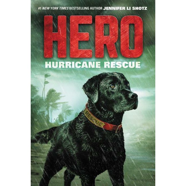 Hero: Hurricane Rescue