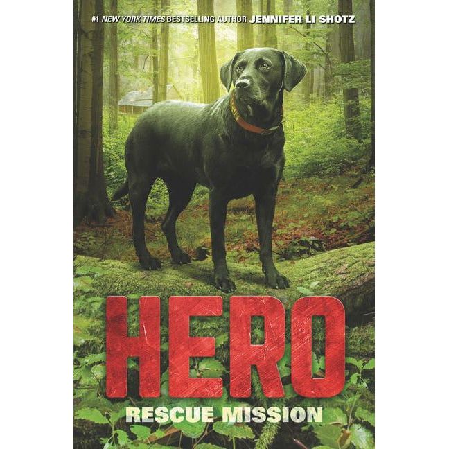 Hero: Rescue Mission