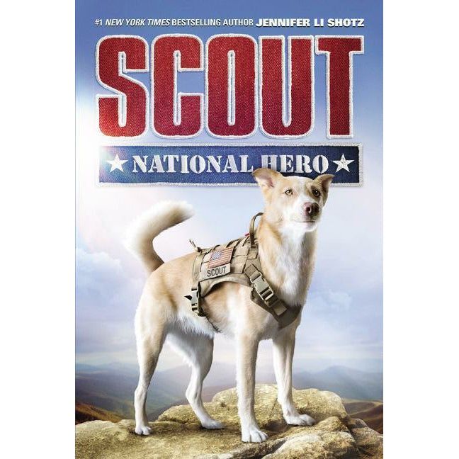 Scout: National Hero