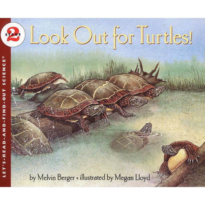 Look Out for Turtles!