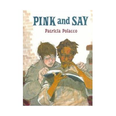 Pink and Say - Hardcover