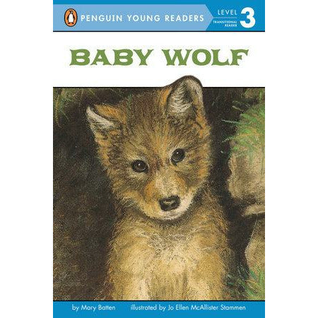 Baby Wolf