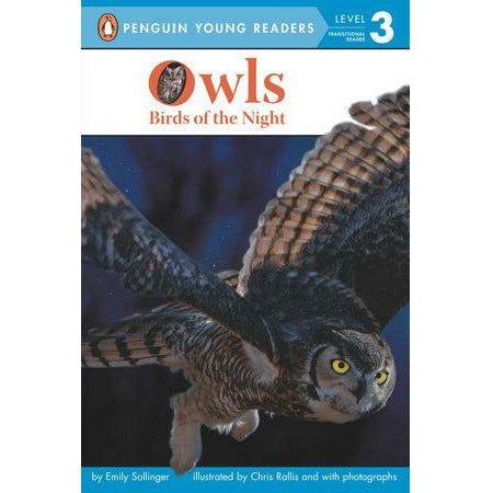 Owls Birds of the Night