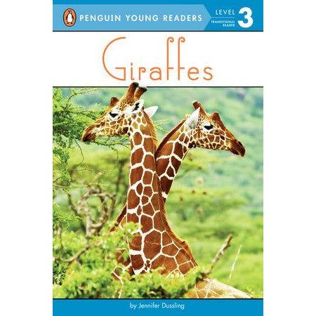 Giraffes