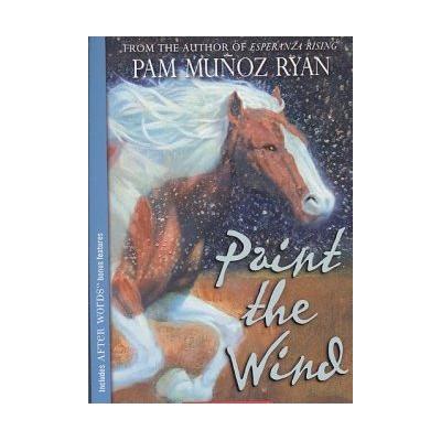 Paint the Wind