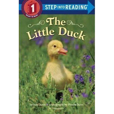 The Little Duck