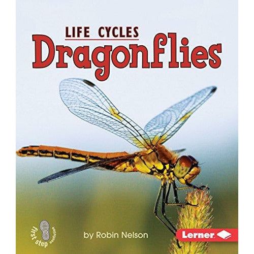 Dragonflies