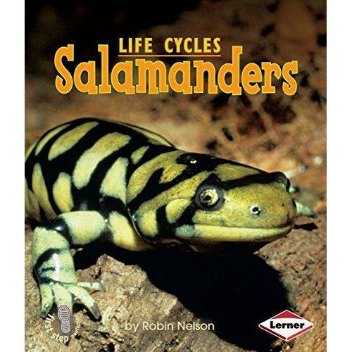 Salamanders