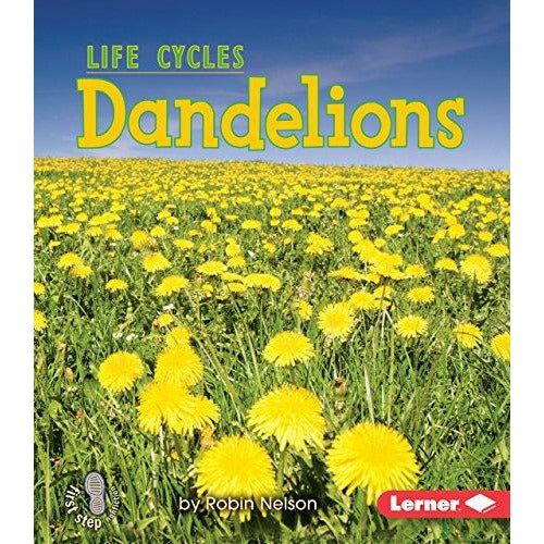 Dandelions