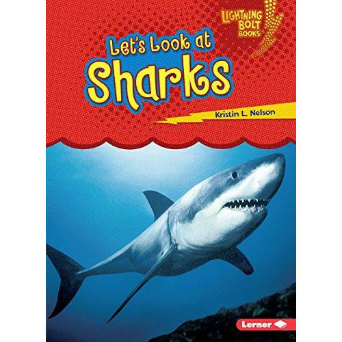 Let's Look at Sharks