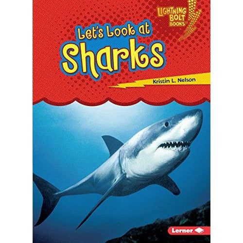 Let's Look at Sharks