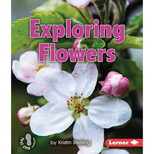 Exploring Flowers