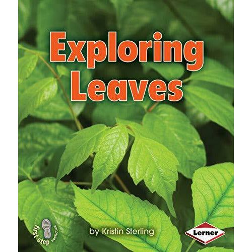 Exploring Leaves