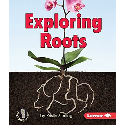 Exploring Roots