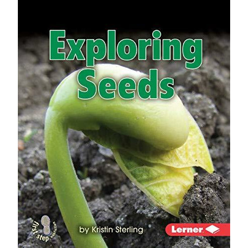 Exploring Seeds