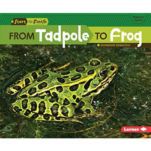 From Tadpole to Frog