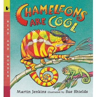 Chameleons Are Cool