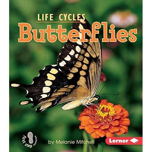 Butterflies