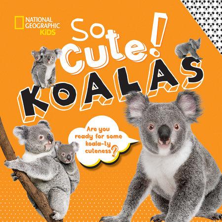 So Cute! Koalas - Hardcover