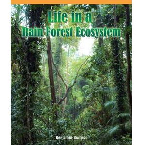 Life in a Rain Forest Ecosystem