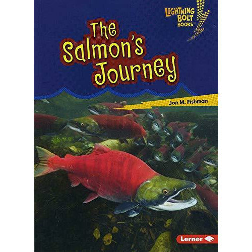 The Salmon's Journey