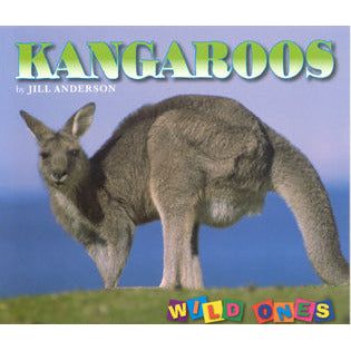 Kangaroos