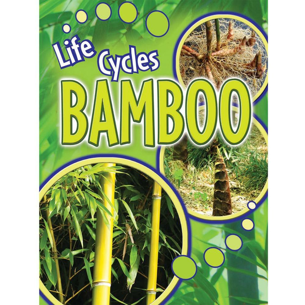Bamboo