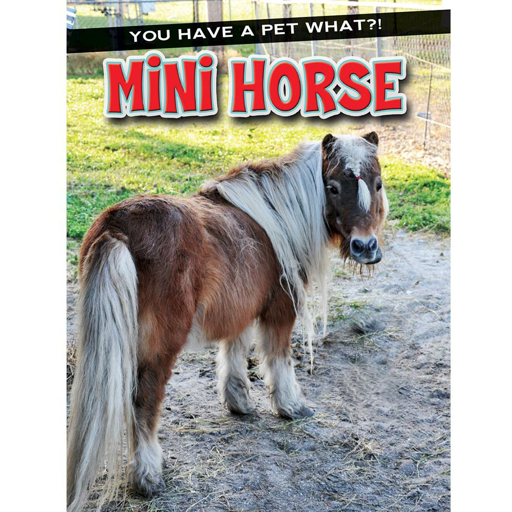 Mini Horse