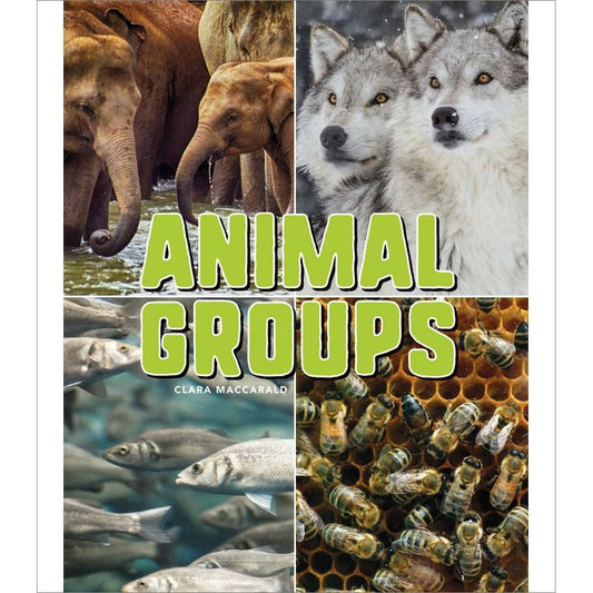 Animal Groups