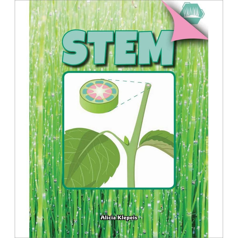 Stem