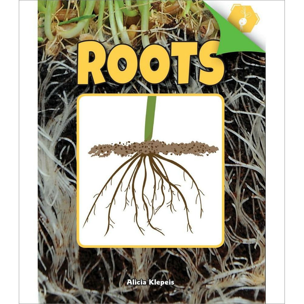 Roots