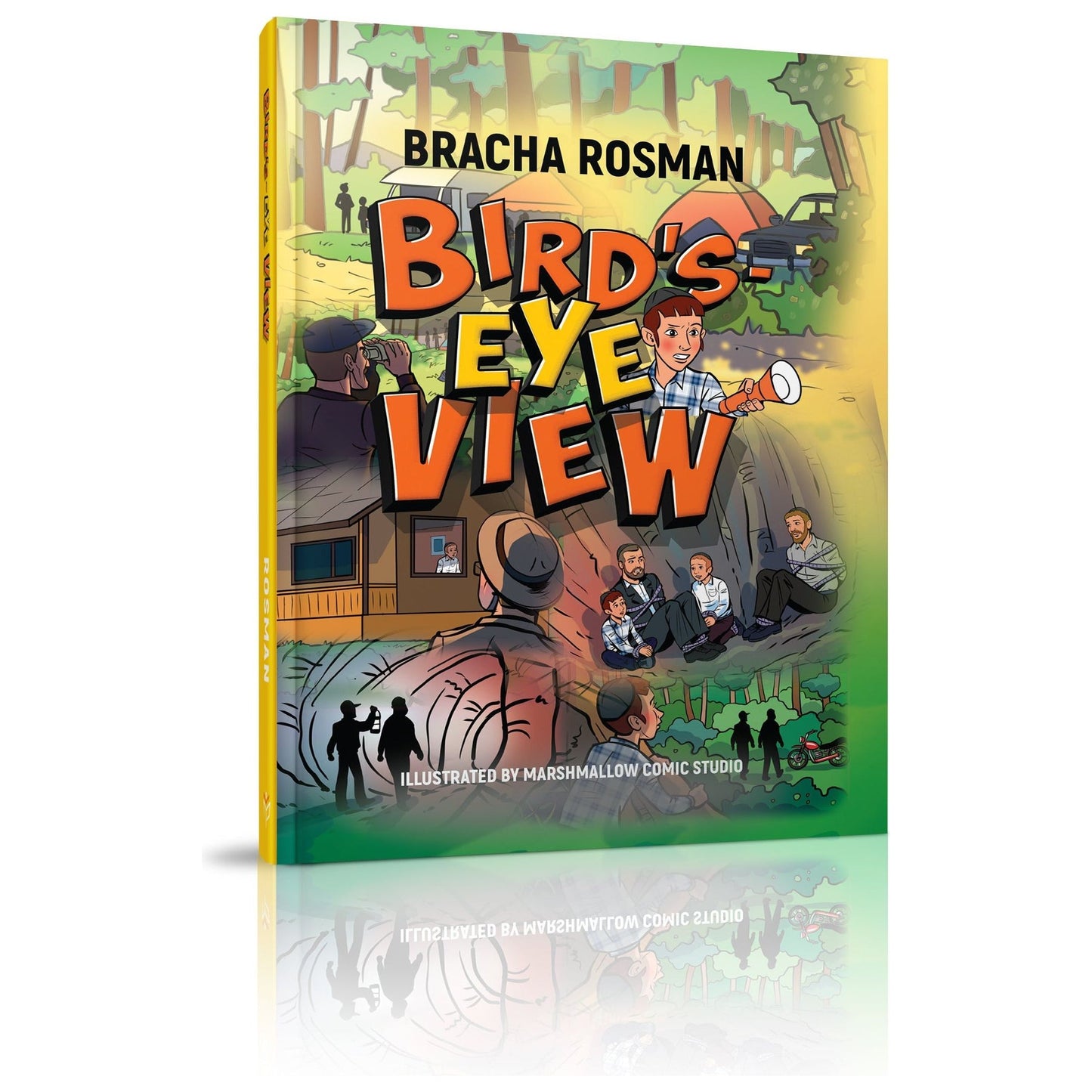 Bird's-Eye View