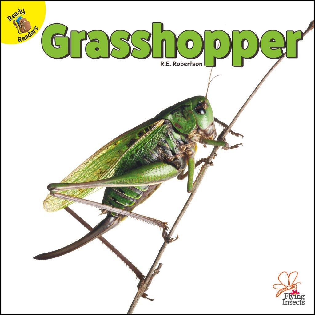 Grasshopper