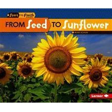From Seed To Sunflower