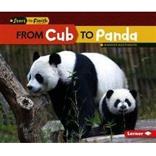 From Cub To Panda