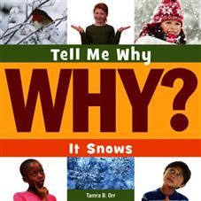 Tell Me Why It Snows