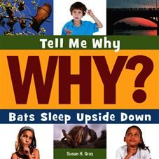 Tell Me Why Bats Sleep Upside Down
